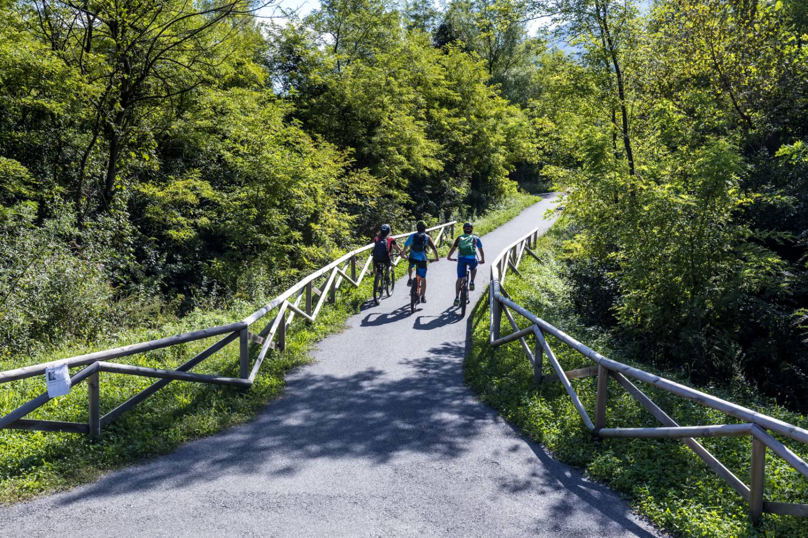 Sentiero Valtellina